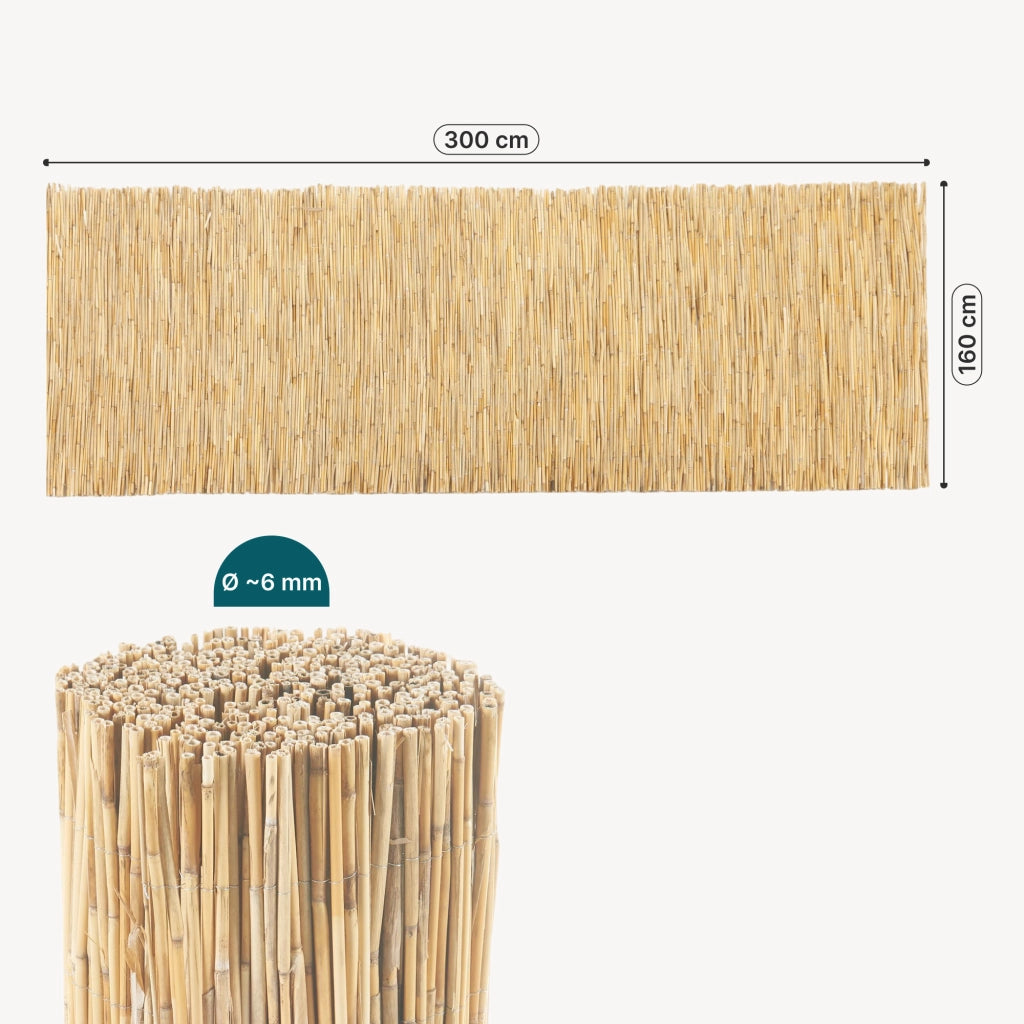 Recinzione Frangivista Abbateggio in Canna Naturale 160 x 300 cm casa.pro
