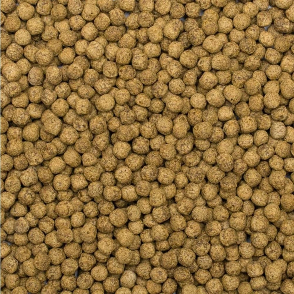 Tropical Koi Silkwork & Astaxanthin Size M 1000ml/320gr - Mangime premium per la crescita e la colorazione