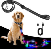 Cinturino per cani LED, caricabile via USB, impermeabile e riflettente, 3 modalità di illuminazione, corda di sicurezza per passeggiate notturne, adatto per cani grandi, medi e piccoli - 1,2 metri