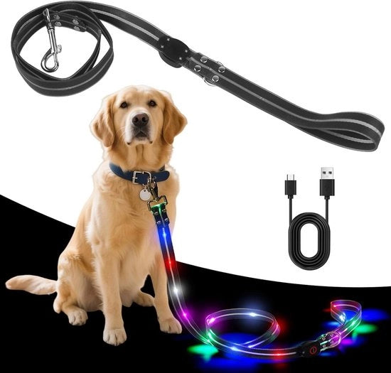Cinturino per cani LED, caricabile via USB, impermeabile e riflettente, 3 modalità di illuminazione, corda di sicurezza per passeggiate notturne, adatto per cani grandi, medi e piccoli - 1,2 metri