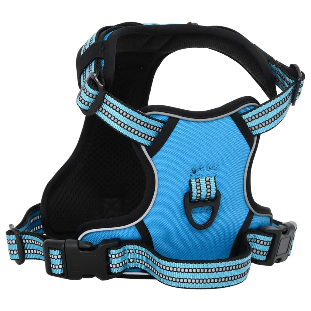 Pettorina per cani con guinzaglio regolabile e collare x L Blu 02_0042334