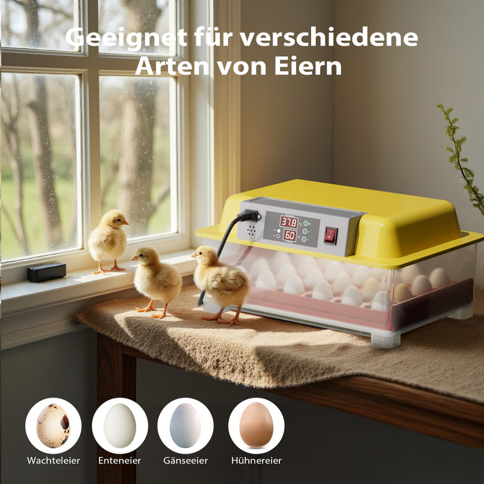 Incubatrice automatica per 24 uova, con regolazione temperatura e umidità, Covatrice