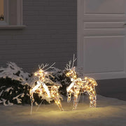 Renne LED con 40 LED 2 pcs Bianco caldo PET