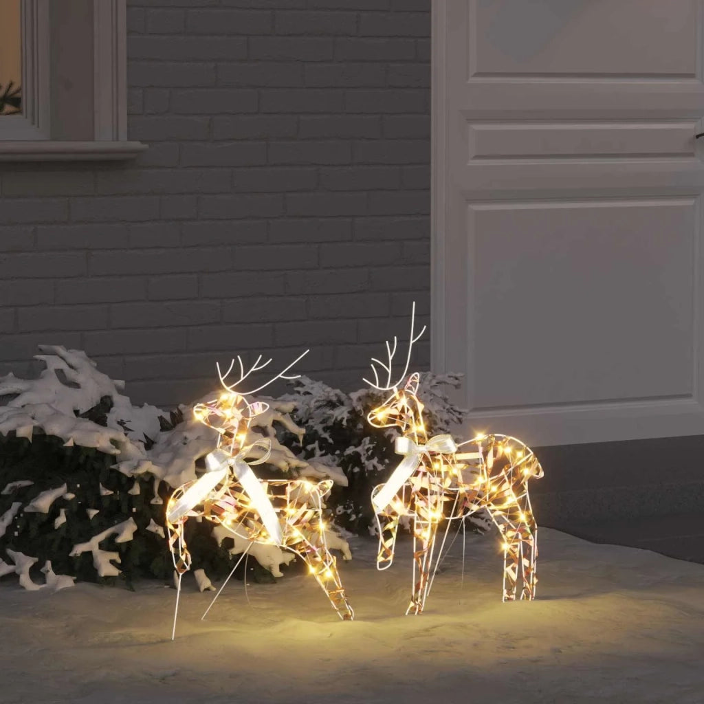 Renne LED con 40 LED 2 pcs Bianco caldo PET