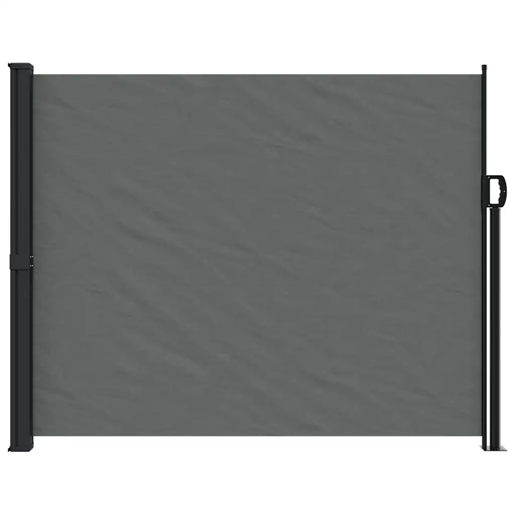 Tenda da sole laterale retrattile antracite 160x300 cm 4004323