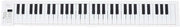 Piano Opvougbile a 61 Tasti - Tastiera Portatile - Musica Elettronica - Funzione di Registrazione Professionale - 100 Ritmi - Progettazione Solida
