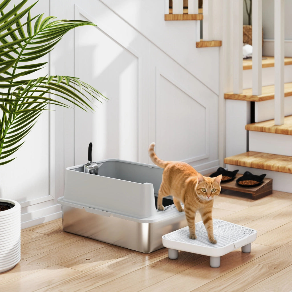 Lettiera per Gatti XL ¨C Zephmum ¨C Grigio 60x40x30 cm