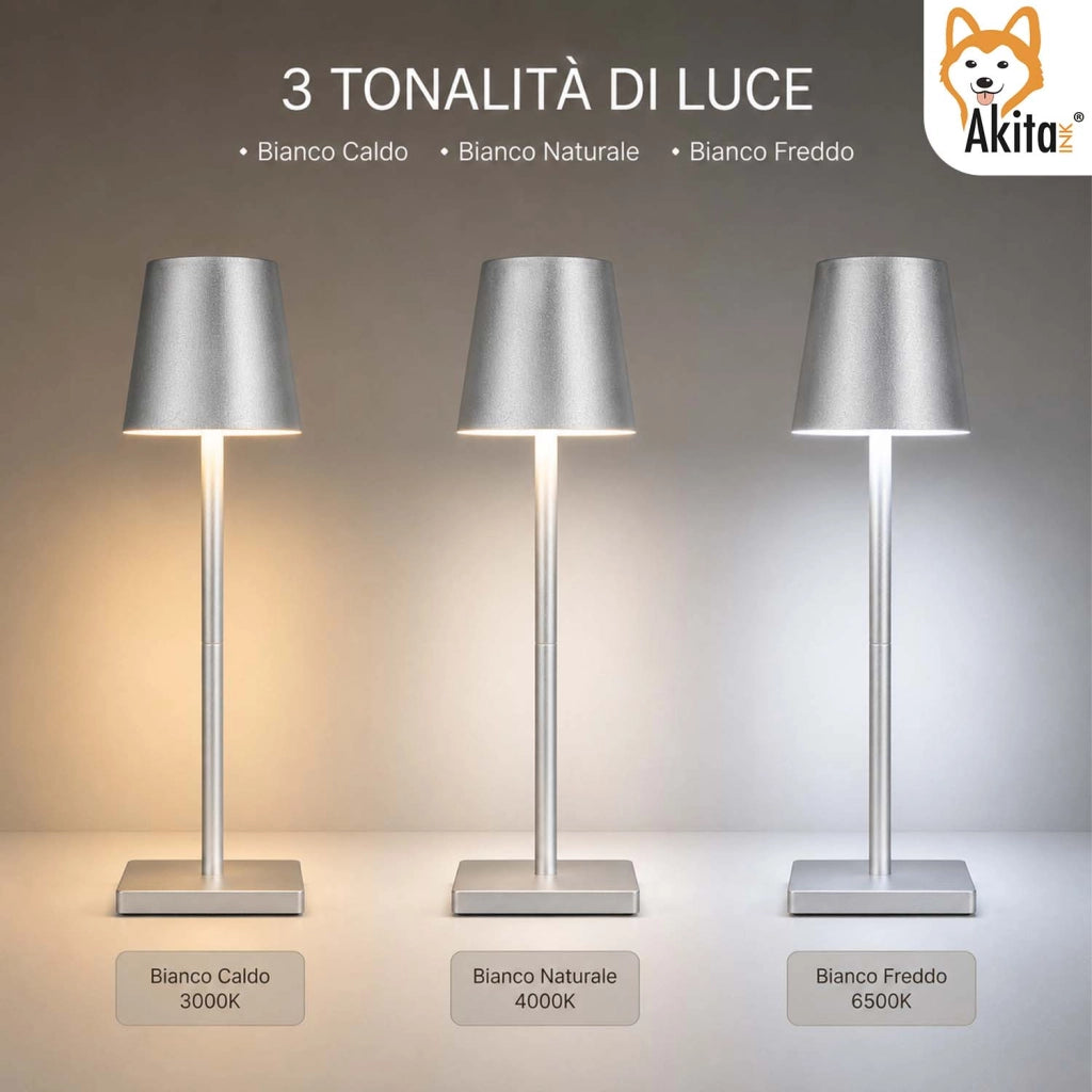 Akitaink Lampada da Tavolo LED Argento Ricaricabile