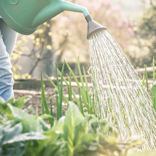 Annaffiatoio universale in plastica, beccuccio lungo, impugnatura comoda per interno ed esterno 10lt