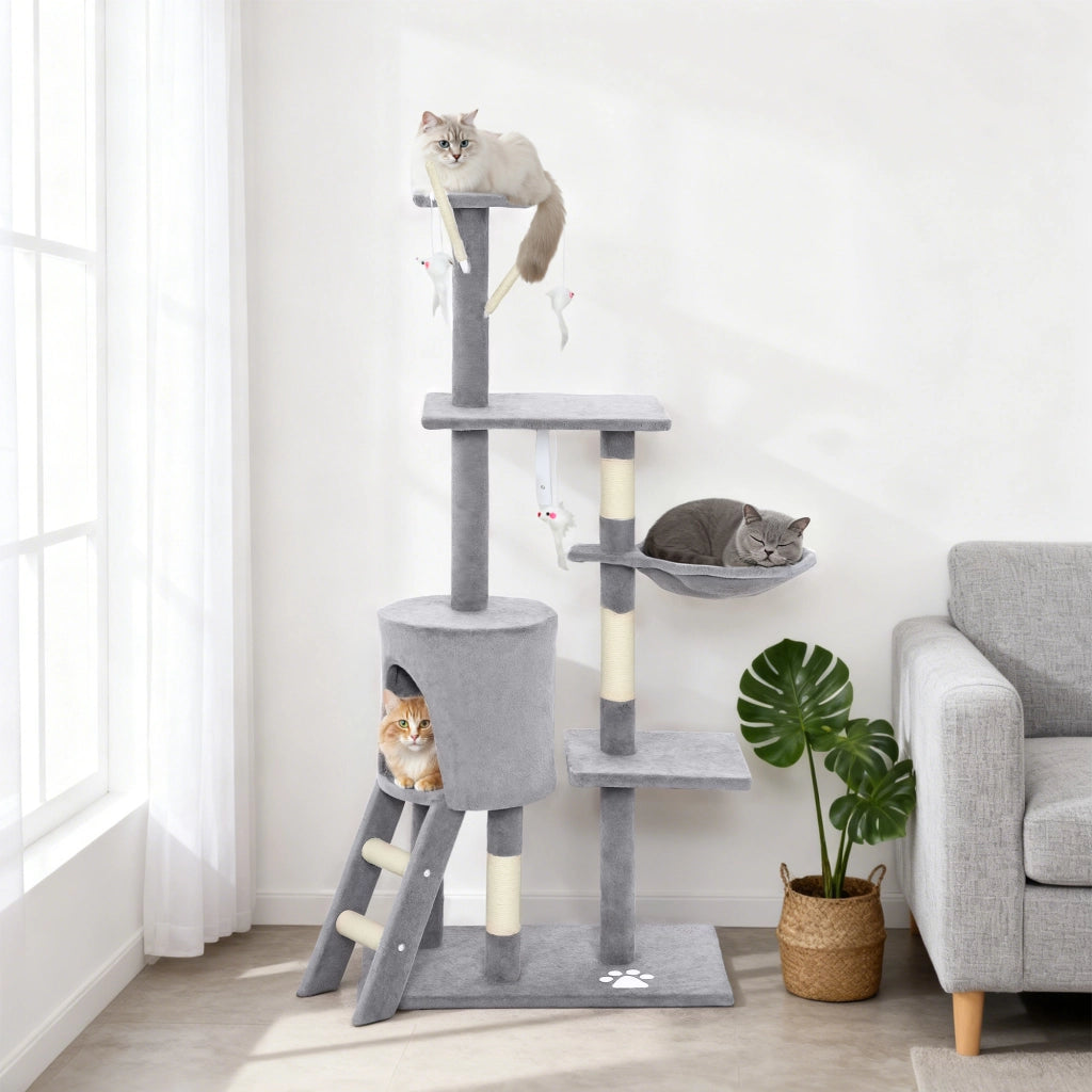 Torre per Gatti con Casetta, Trespolo e Piattaforme ¨C zephmum ¨C Grigio, Legno, 60x35x134 cm