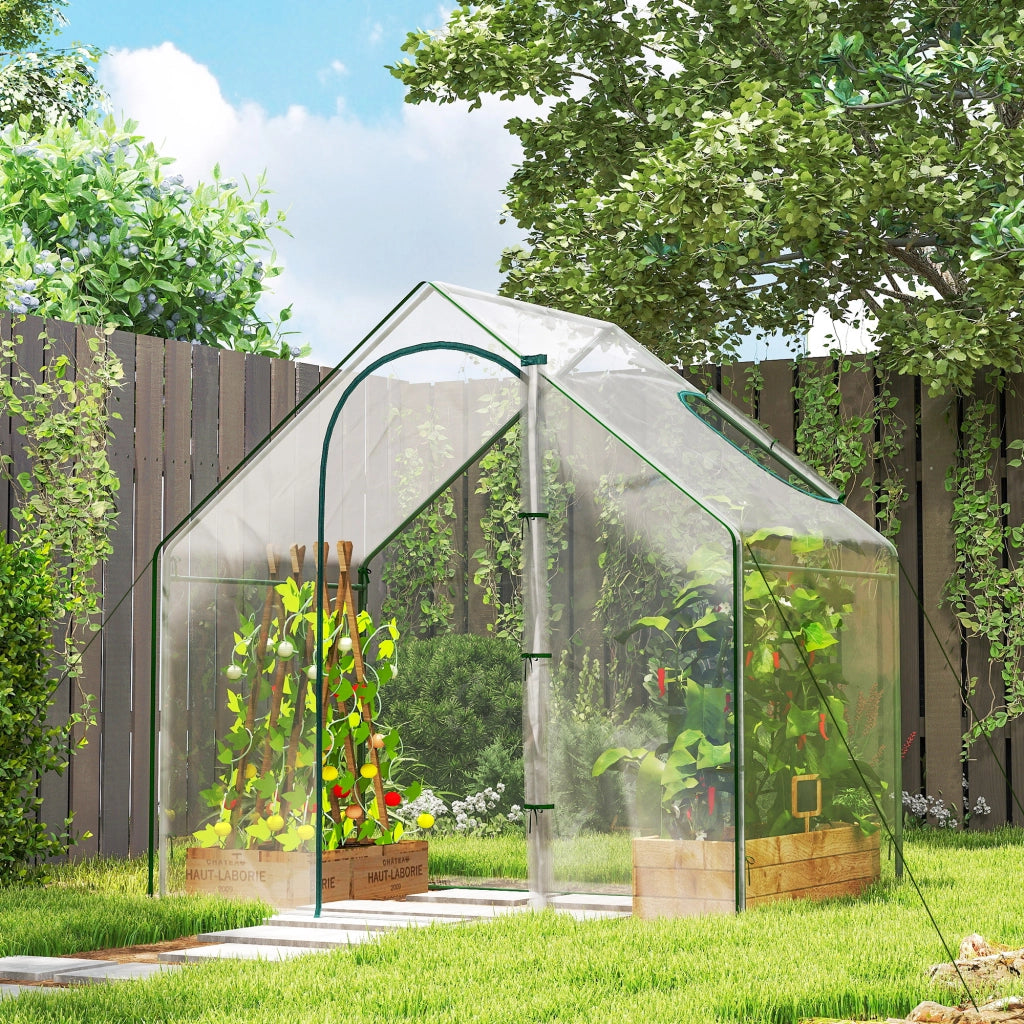 Serra da Giardino con Finestra e Porta ¨C Zephmum ¨C 180x100x168 cm Trasparente