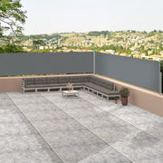 Tenda Laterale retrattile-Tenda parasole per balcone Antracite 117x1200 cm