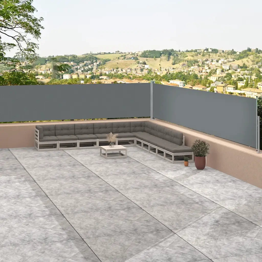 Tenda Laterale retrattile-Tenda parasole per balcone Antracite 117x1200 cm