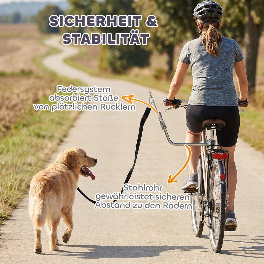 Guinzaglio Bicicletta Cane Regolabile con Ammortizzatori ¨C Zephmum ¨C Argento e Nero
