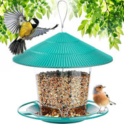 Alimentatore di Semi per Uccelli Plus - Fattore di Attrazione per Uccelli Selvatici Alimentazione Outdoor Giardino Mix di Semi Blends di Zinnia e Pecane per Attrarre Dunnocks e Merli Blu