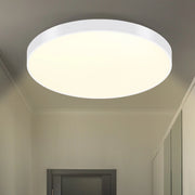 ZMH Lampada da soffitto plafoniera LED moderna per soggiorno cucina camera letto corridoio