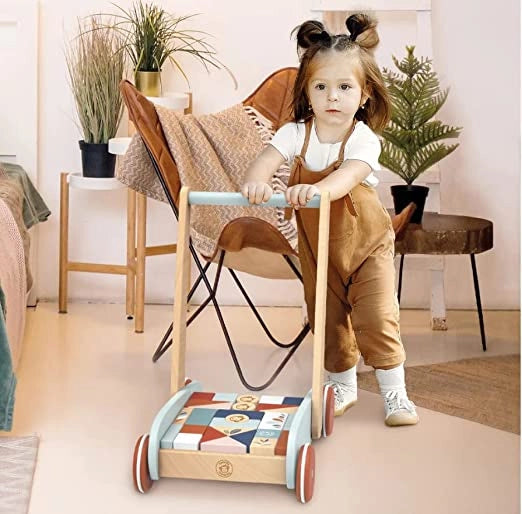 Carrello Primi Passi Cubetti Carrello Primi Passi Legno Montessori Carrello Multi attività a Spinta con Scomparto per Bl