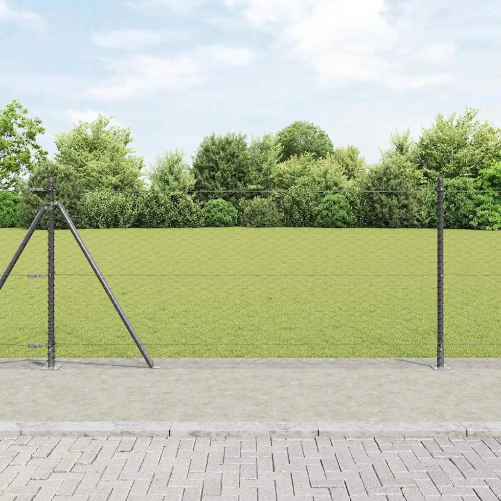 Palo della recinzione Grigio 100 x 1 m (rete da 36 mm)