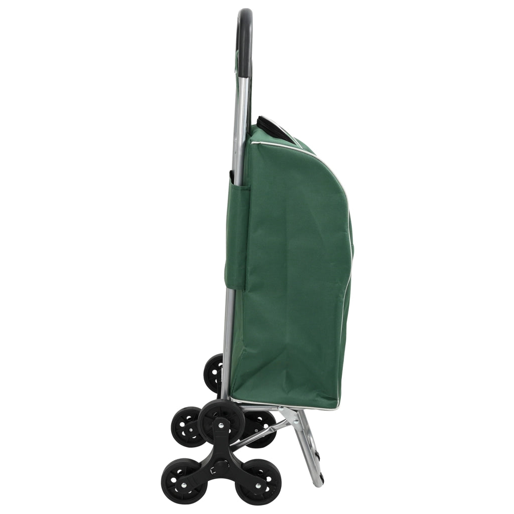 Carrello della Spesa  con Scala Verde 38 L