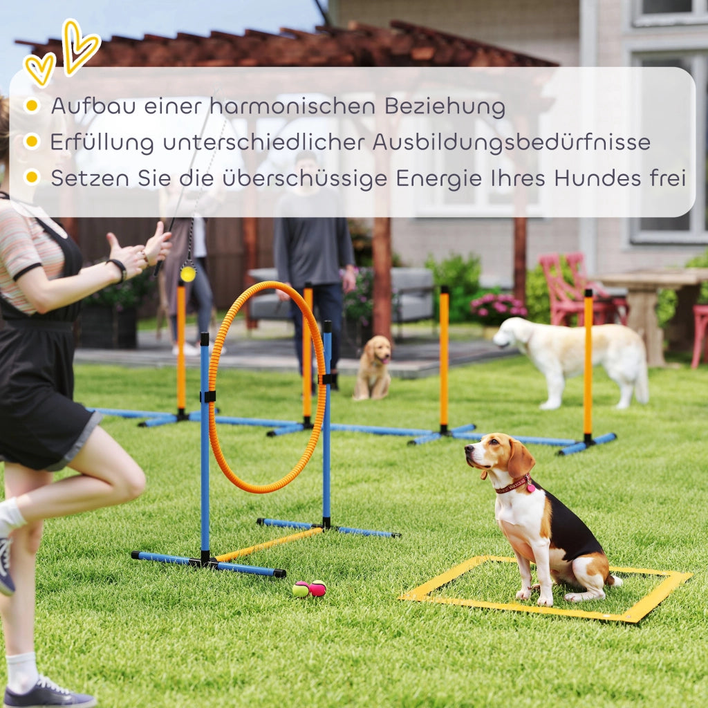 Set Agility 7 Pezzi per Cani ¨C zephmum ¨C H¨¹rde Tunnel Slalom