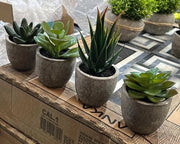 Set di 4 piante artificiali, aspetto di cemento, 6 cm x 7 cm - 14 cm, verde 2, decorazione da ufficio, bagno, fiori artificiali come se fossero reali, balcone, piante artificiali, salotto