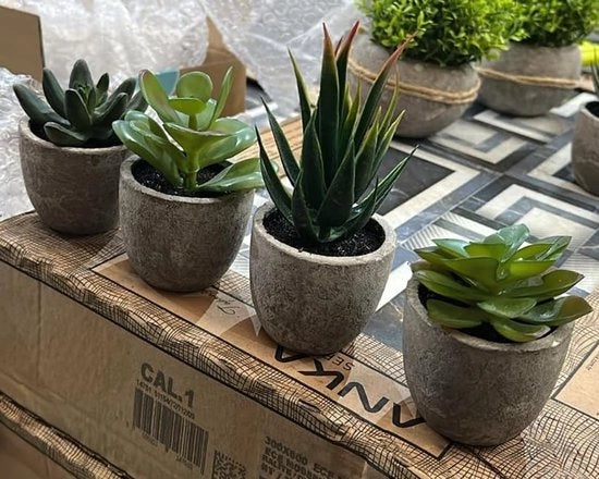 Set di 4 piante artificiali, aspetto di cemento, 6 cm x 7 cm - 14 cm, verde 2, decorazione da ufficio, bagno, fiori artificiali come se fossero reali, balcone, piante artificiali, salotto