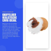 Cavia in posizione di sonno - Figura di peluche realistica - Decorazione per la camera dei bambini - Giocattolo educativo - Materiale duraturo