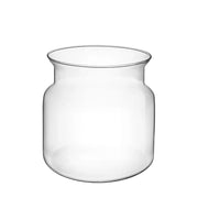 Terrario Bottle Garden Vaso Cilindrico per Terrario in vetro cm15x15h