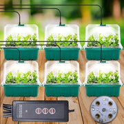 Mini-cultivatore per semi 6 posti con coperchio alto, timer controller (8 LED), piatti, scala di crescita, 10 etichette e 2 attrezzi