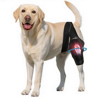Protezioni per ginocchia per cani, protezioni ginocchia per cani adattabili, prevenzione di una lesione della legamento crociato anteriore in cani - Protezioni articolari per cani - Preservazione della stabilità articolare - L.