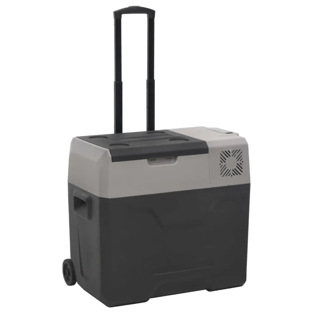 Borsa Frigo con Ruote Adattatore Nera Grigia 30 L Polipropilene 3154635