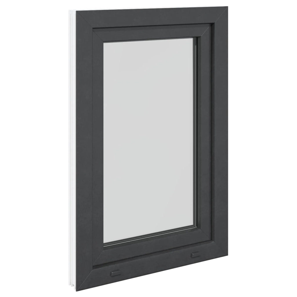 Finestra per Soffitta RISOR 60 x 100 cm PVC e Vetro Antracite CFW3953001