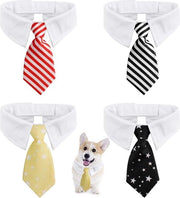 Accessori per animali da 4 pezzi con collare adattabile per cani e gatti.