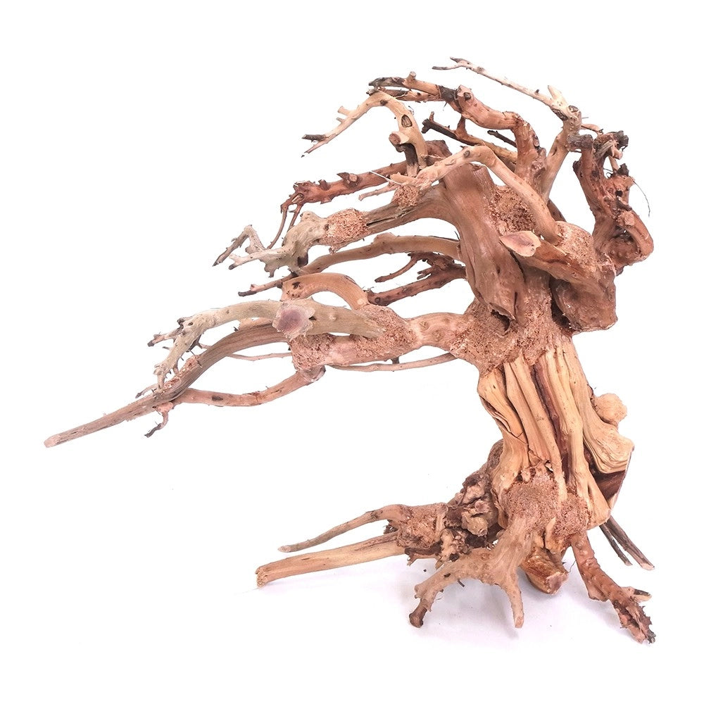 DecorLine Wind Wood misura Large cm40x15x30h - legno naturale decorativo