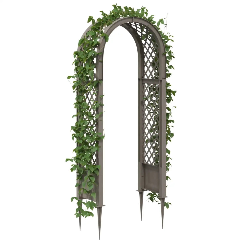 Arco di rose con punte Grigio 97 x 43 x 218 cm PP CFW6868586