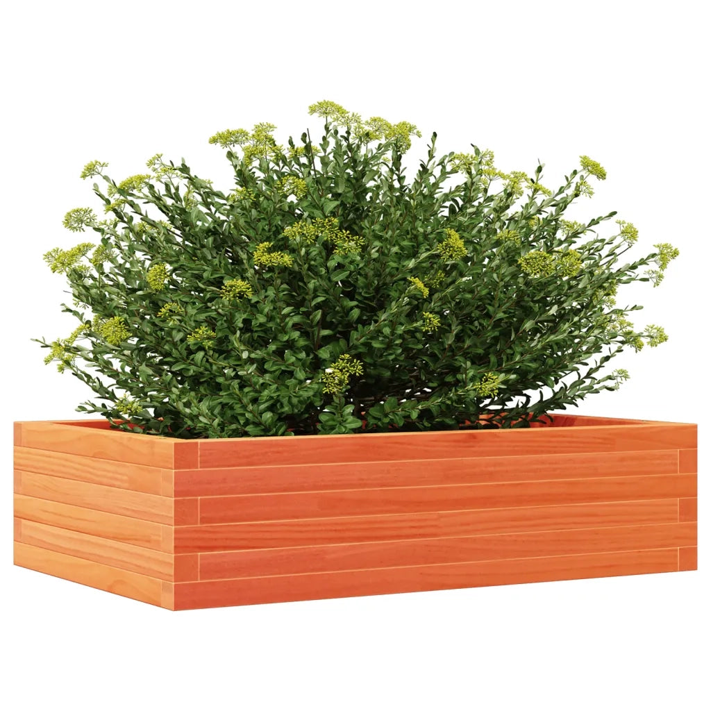 Fioriera Giardino Marrone Cera 90x60x23 cm Legno Massello Pino 847235