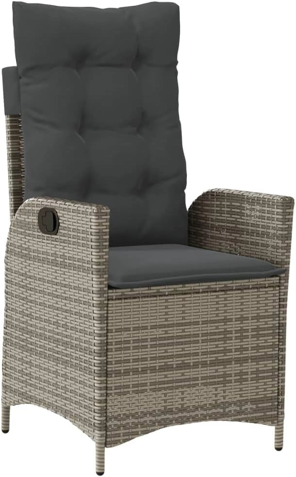 3213076 - Set da pranzo da giardino in rattan sintetico grigio, set tavolo e sedie da giardino, tavolo da terrazza e sedie, set da giardino, mobili da giardino