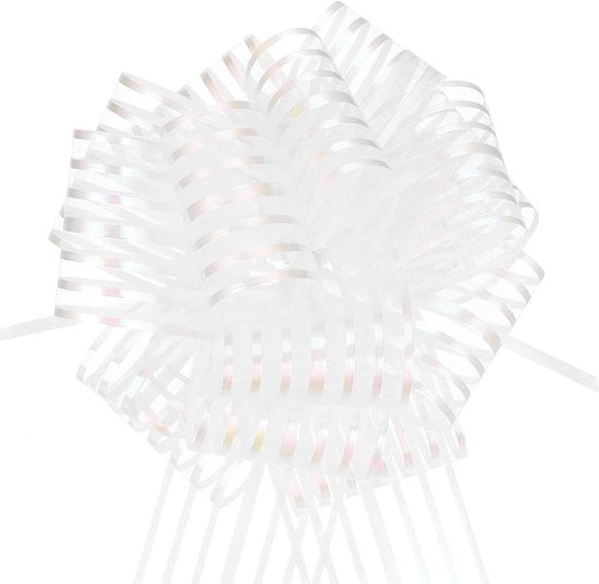 Set di nastri di regalo da 20 cm in 5 pezzi per matrimonio e Natale