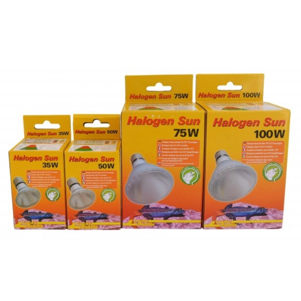 Lucky Reptile Halogen Sun - lampada alogena attacco E27 per rettili Wattaggio Riscaldatori e lampade terrario: 50W