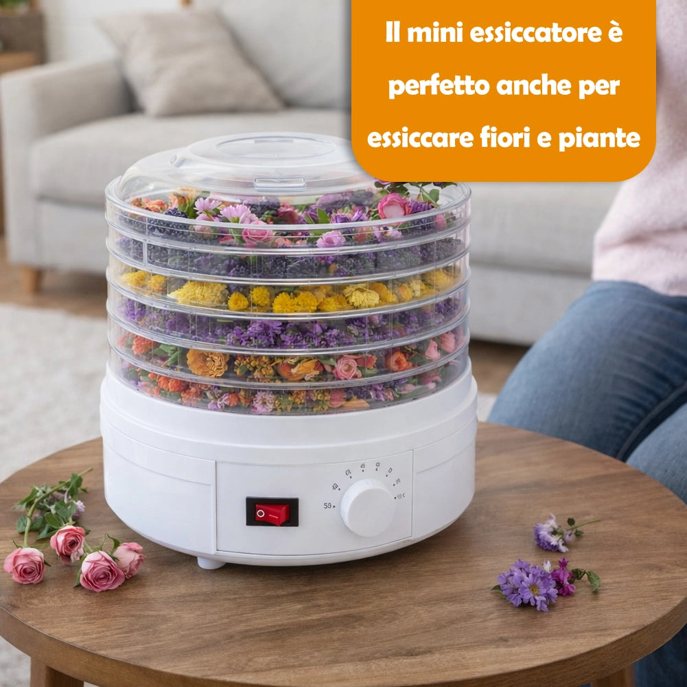 Mini Essiccatore Elettrico per Alimenti con 5 Vassoi e Coperchio 35°-70° Bianco