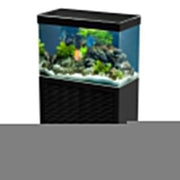 Ciano Emotion One 80 LED - Completo di Supporto Colore: Nero