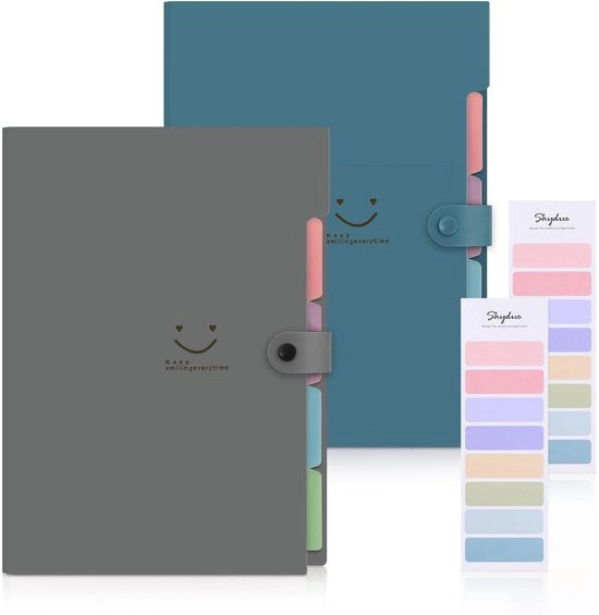 Set di archiviazione espandibile da 2 pezzi, cartellone con compartimenti, archivio documenti A4 con etichette, sistema di archiviazione documenti (grigio scuro + blu smog)