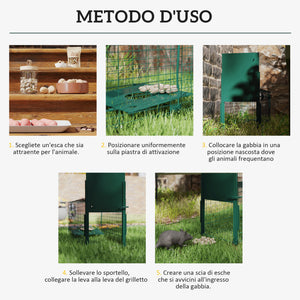 Gabbia Trappola per Animali Piccoli 80x25x30 cm Meccanismo di Chiusura in Acciaio Verde Scuro