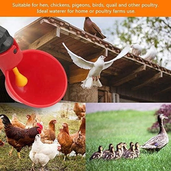Sistema di Rifornimento Automatico per Bevande in Plastica, 10 pezzi - Uccelli da Corte - Sistemi di Rifornimento Idrico