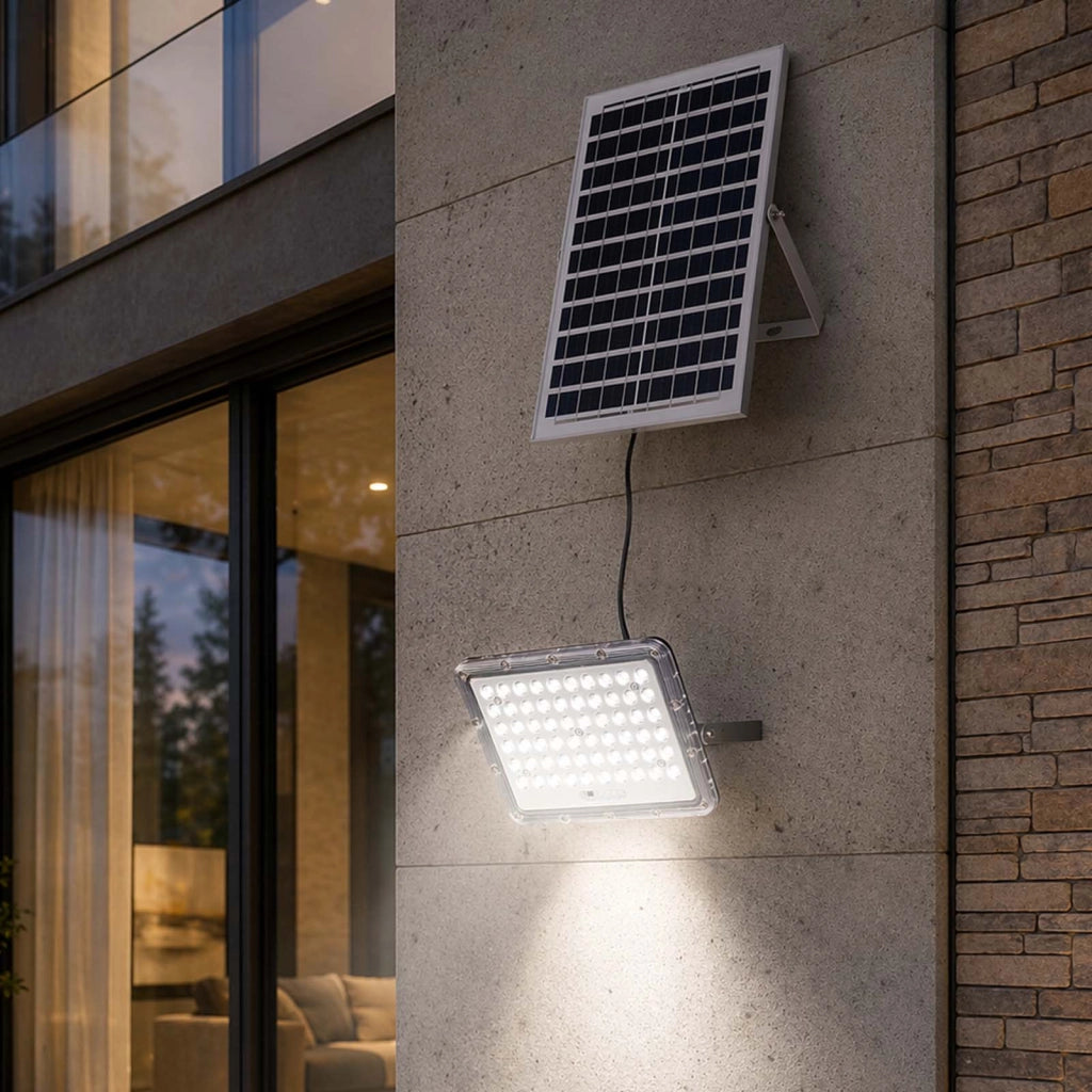 Proiettore Solare LED Esterno 9000K con Rilevamento Automatico Grigio Avizar