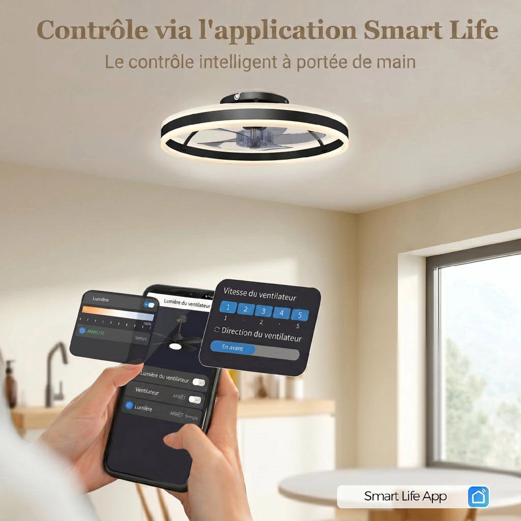 Ventilatore a Soffitto con Luce e Telecomando ¨C Zephmum ¨C Nero 50 cm
