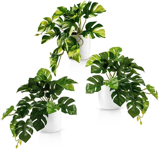 Set di 3 Monstera artificiali (20cm) in vasi di ceramica bianchi: piante artificiali come sono realmente | Monstera artificiale | Piante artificiali pendenti in vaso | Piante artificiali pendenti in sincronia