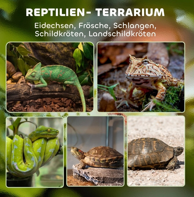 Terrario in vetro per rettili 50x30x35 cm con chiusure