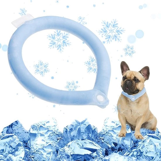 Cintura di raffreddamento per cani, cintura di raffreddamento per cani, velocemente congela a 22 °C, cintura di raffreddamento portatile per collo, estate, per cani di piccola e media taglia con un giro di collo < 46,5 cm