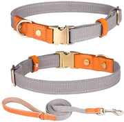 Cinturone per Cani Adattabile - Lunghezza 150 cm - Materiale Nylon Pelle - Cerniera in Acciaio Inossidabile - Respira e Leggero